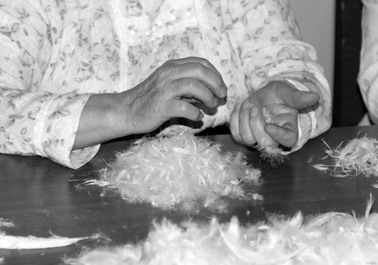 The Down Heritage - Preserving the Story of Hungarian Goose Down